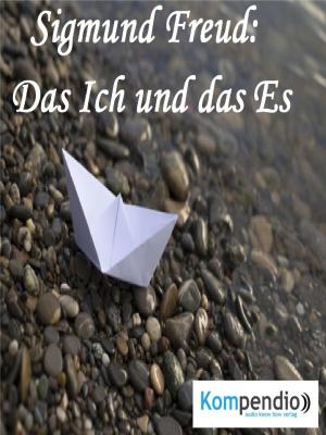 Cover of the book Das Ich und das Es by Christian Pahlke