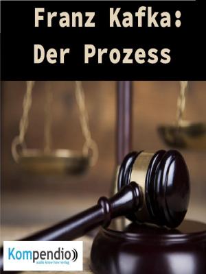 Cover of the book Der Prozess by Barbara Vödisch