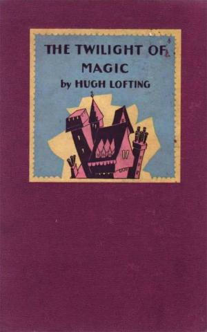 Book cover of The Twilight of Magic