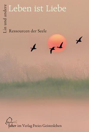 Cover of the book Leben ist Liebe by Rudolf Steiner