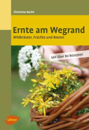 Book cover of Ernte am Wegrand