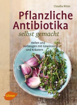 Cover of the book Pflanzliche Antibiotika selbst gemacht by Monika Wurft