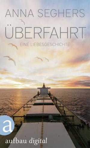 Cover of the book Überfahrt by Jeff Abbott