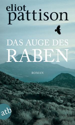 Cover of the book Das Auge des Raben by Julie Peters