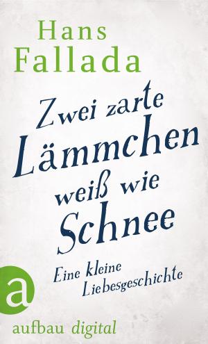 Cover of the book Zwei zarte Lämmchen weiß wie Schnee by Annabel Abbs