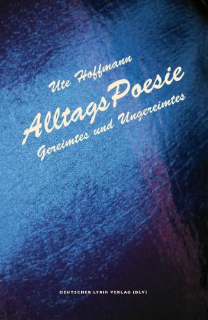 Cover of the book AlltagsPoesie by Nick Orsini