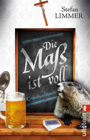 Cover of the book Die Maß ist voll by Slavoj Žižek