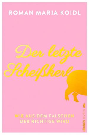 Cover of the book Der letzte Scheißkerl by Odile Lamourère
