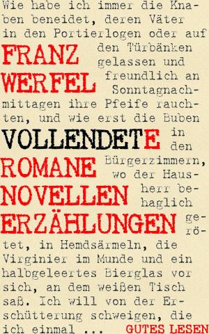 Cover of the book Vollendete Romane Novellen Erzählungen by Silvia Nitsche-Martens