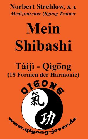 Cover of the book Mein Shibashi by Paul Baumann