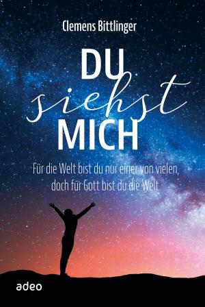 Book cover of Du siehst mich