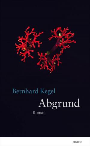 Cover of the book Abgrund by Alban Nikolai Herbst