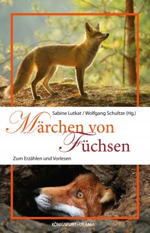 Cover of the book Märchen von Füchsen by Silvia Bürkle
