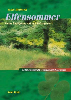 Cover of the book Elfensommer by Annette Oelkers