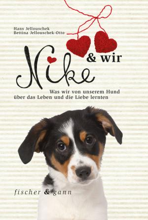 Cover of the book Nike & wir by Karin Schreiner