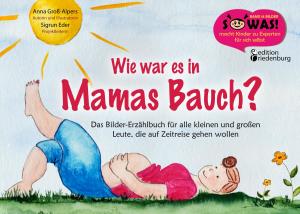 Cover of the book Wie war es in Mamas Bauch? by Regina Masaracchia, Iris-Susanne Brandt-Schenk
