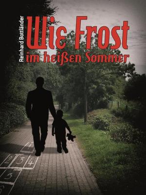 Cover of the book Wie Frost im heißen Sommer by Mary Hamilton