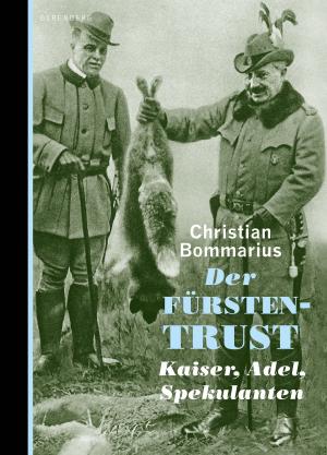 Book cover of Der Fürstentrust