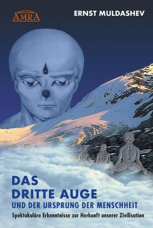 Cover of the book DAS DRITTE AUGE und der Ursprung der Menschheit by Horst Krohne