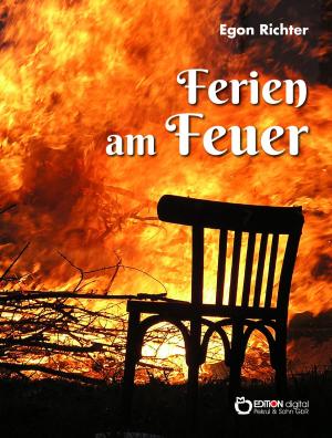 Cover of the book Ferien am Feuer by Hildegard Schumacher, Siegfried Schumacher
