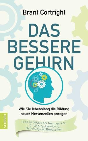Cover of the book Das bessere Gehirn by Daniel Pinchbeck