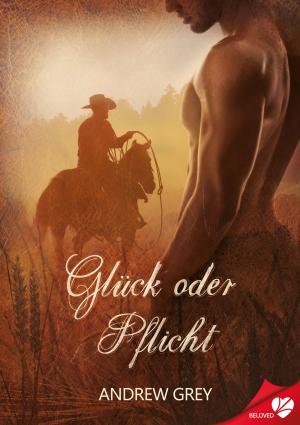 Cover of the book Glück oder Pflicht by Heidi Cullinan