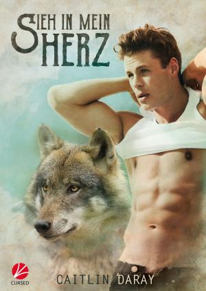 Book cover of Sieh in mein Herz