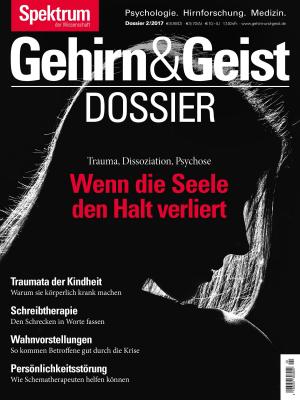 Cover of the book Wenn die Seele den Halt verliert by Mark Tuschel