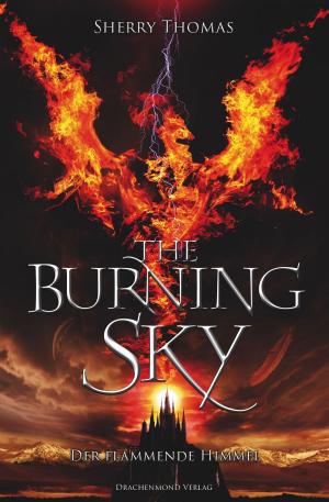 Cover of the book The Burning Sky by Sarah Adler