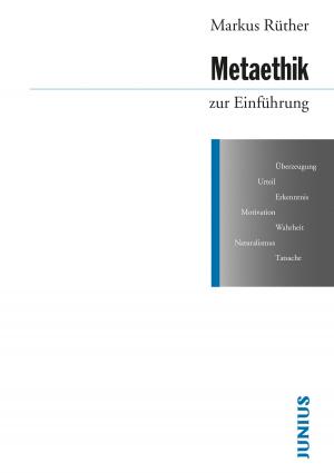 Cover of the book Metaethik zur Einführung by Wolfgang Kersting