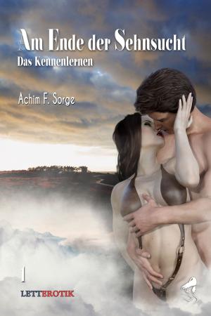 Cover of the book Am Ende der Sehnsucht: Das Kennenlernen by Diana Penagos, Alberto Tavira, Jessica Sáenz