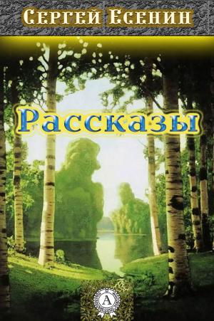 Book cover of Рассказы