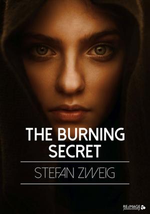 Cover of the book The Burning Secret by Delia Bellone