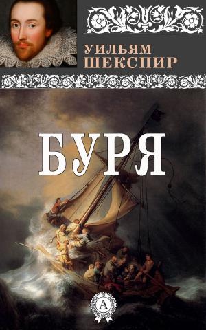 Cover of the book Буря by Аркадий Стругацкий, Борис Стругацкий