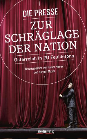 Cover of the book Die Presse zur Schräglage der Nation by Manfred Schauer