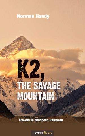 Cover of the book K2, The Savage Mountain by Tamara Solomon