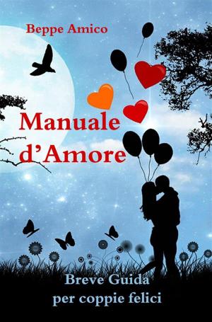 Book cover of Manuale d'amore - Breve Guida per coppie felici