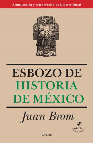 Cover of the book Esbozo de historia de México by Guillermo Fadanelli