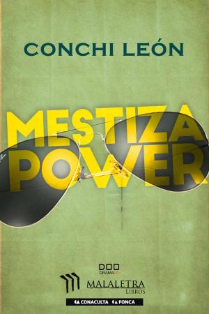 Cover of the book Mestiza Power by Daniel Serrano