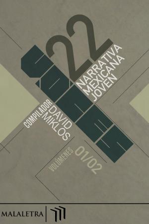Cover of the book 22 Voces Vols. 1 y 2 by Manuel Barragán, Chantal Torres, Miguel Ángel Sánchez, Rafael Pérez de la Cruz