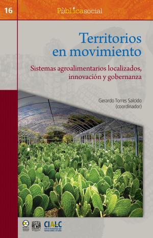 Cover of the book Territorios en movimiento by Emma Paulina Pérez López