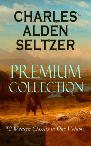 Book cover of CHARLES ALDEN SELTZER - Premium Collection: 12 Western Classics in One Volume