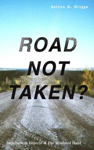 Book cover of ROAD NOT TAKEN? - Imperium in Imperio & The Hindered Hand