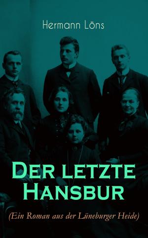 Cover of the book Der letzte Hansbur by Richard Voß