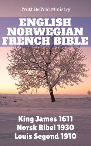 Cover of the book English Norwegian French Bible by Emile Zola
