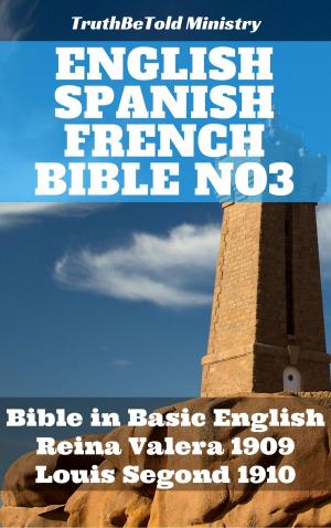 bigCover of the book English Spanish French Bible No3 by 