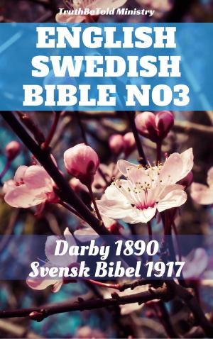 Book cover of English Swedish Bible No3