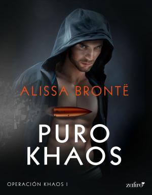 Cover of the book Puro Khaos by Rebeca Tabales