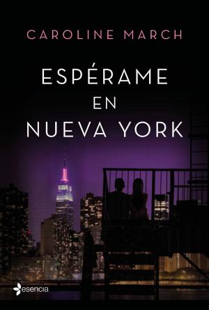 Cover of the book Espérame en Nueva York by Daniel Ruiz