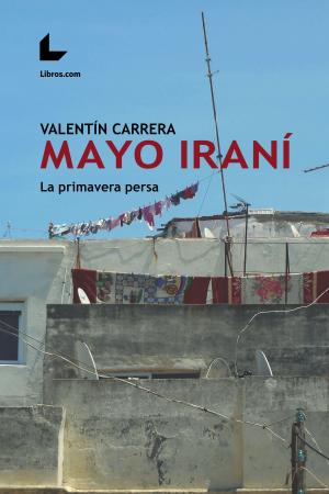 Cover of the book Mayo iraní by Diana Santana Martín